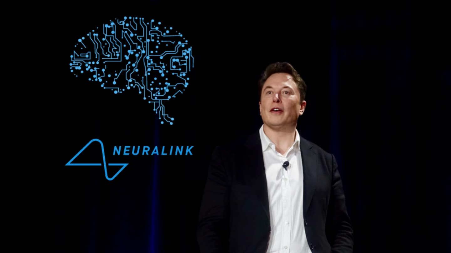 Elon Musk has 'happy monkey' with brain wired for videogaming