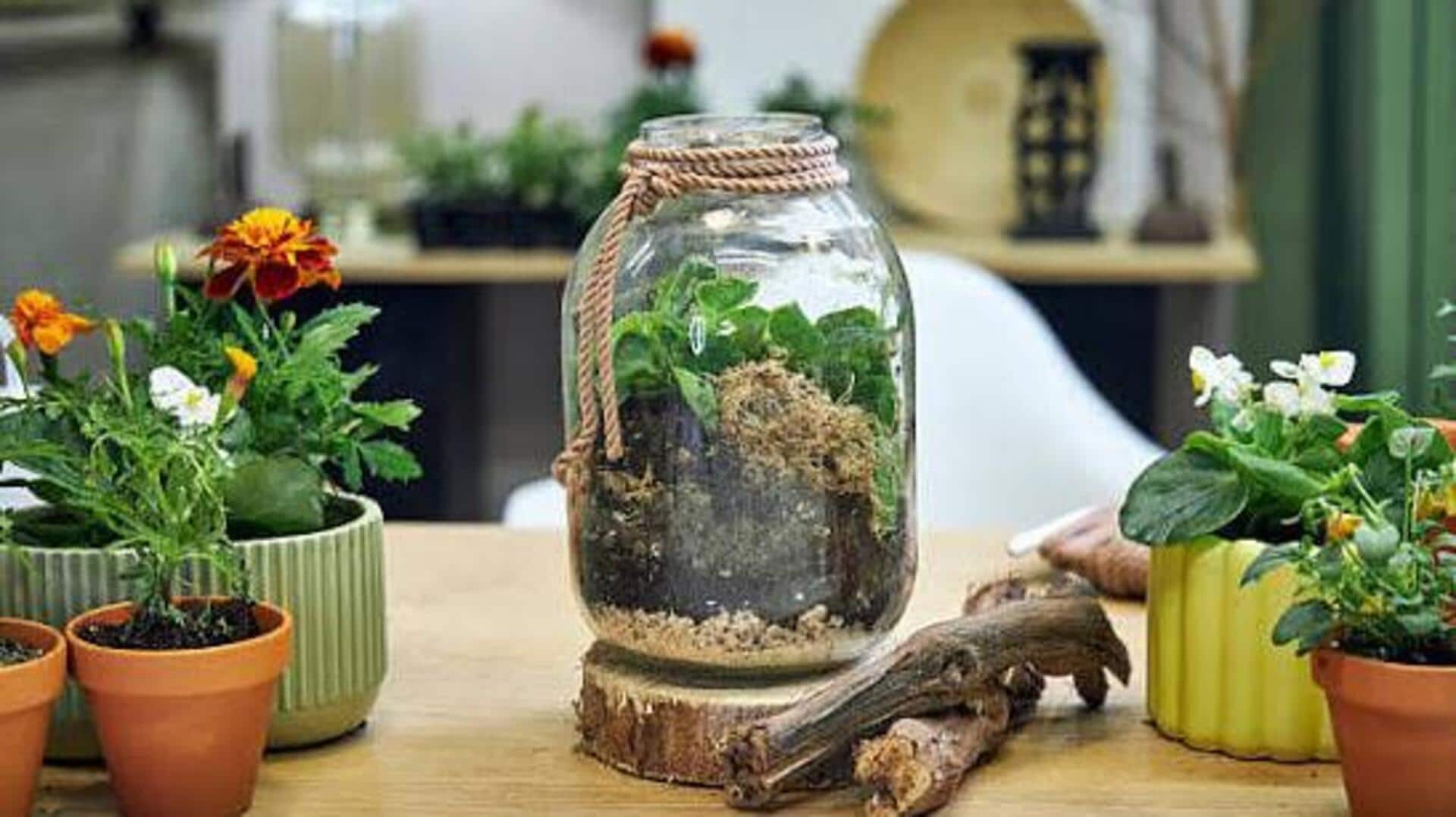 How to make a terrarium for your home 