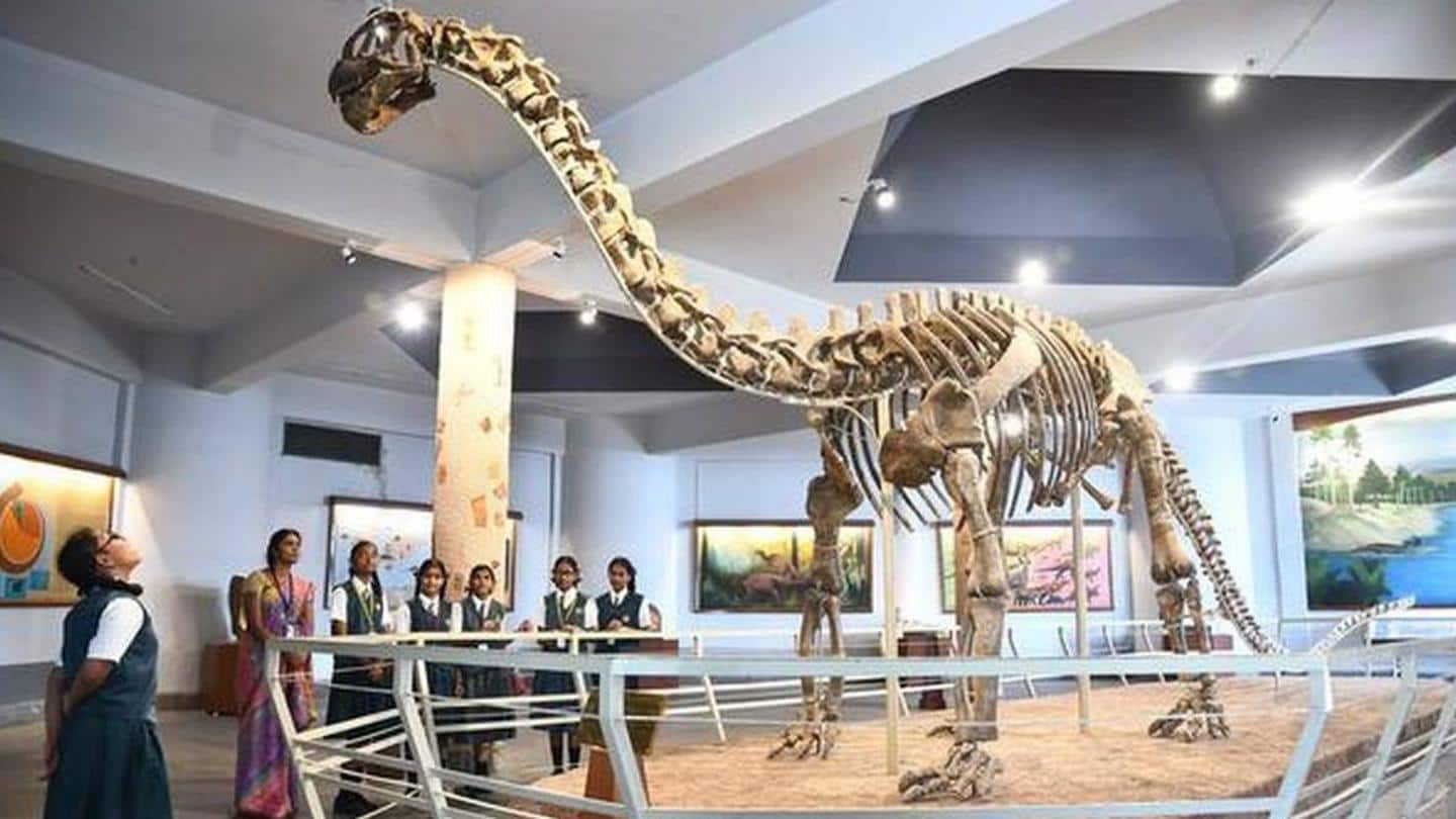 Meghalaya: 100 million-year-old bones of sauropod dinosaurs discovered