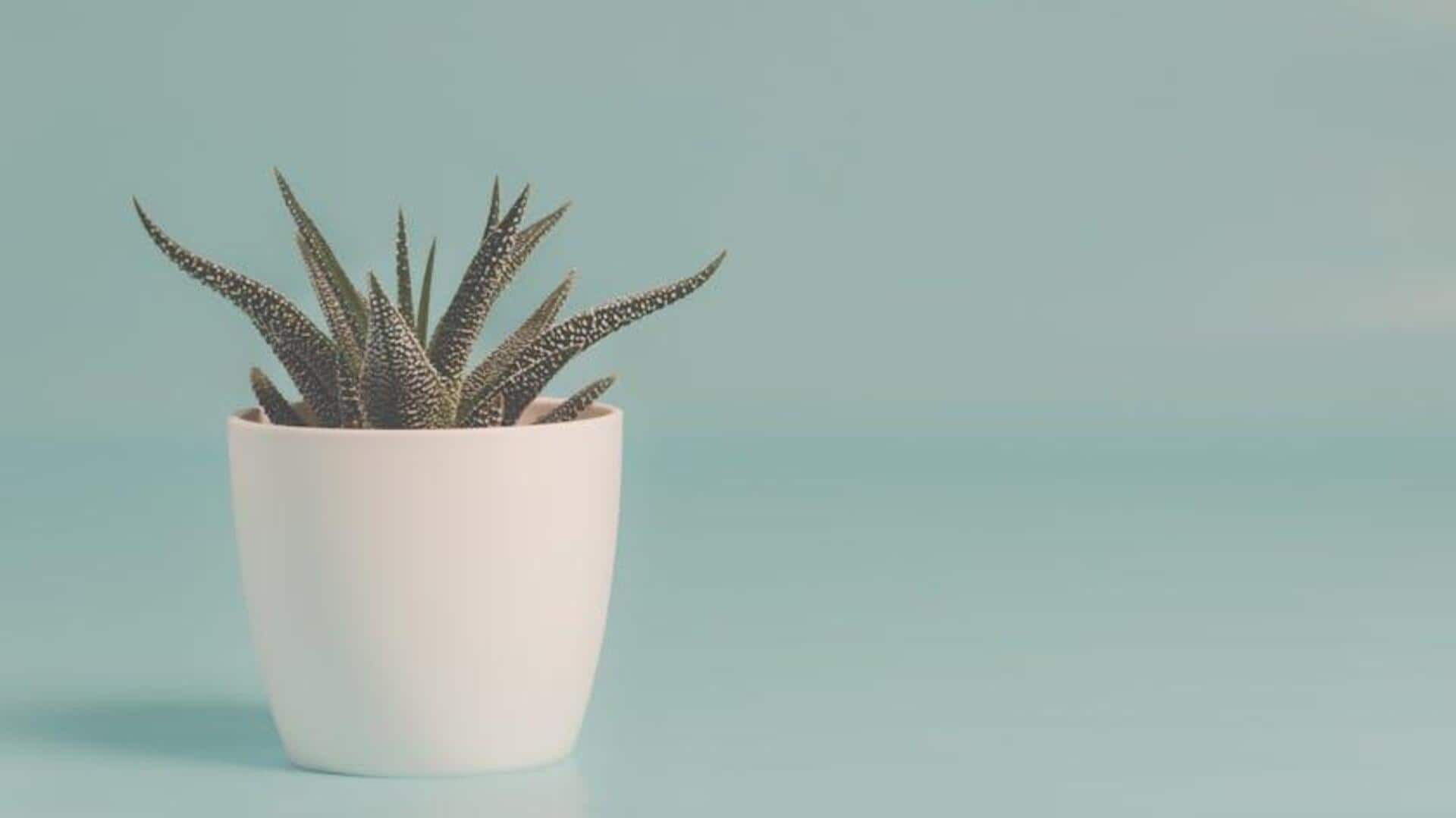 5 nature-inspired centerpieces for your home