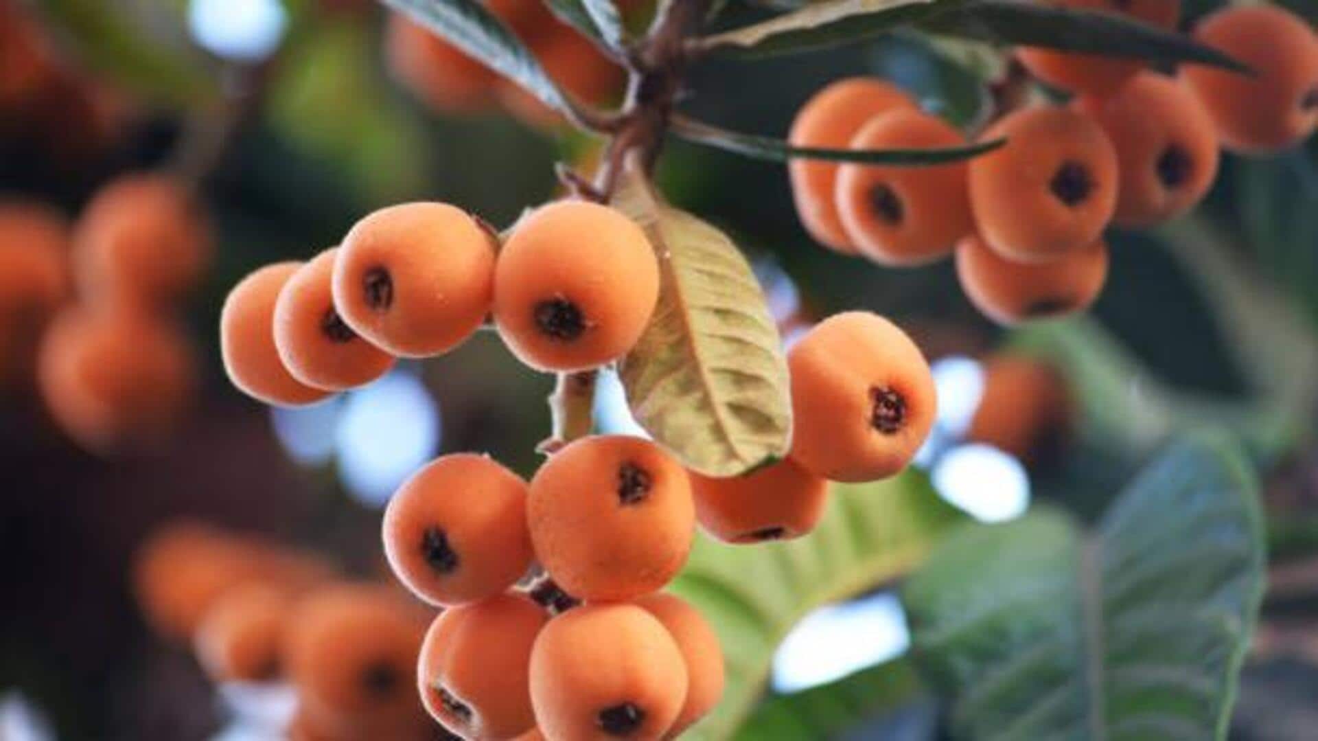 How to use loquat in cooking