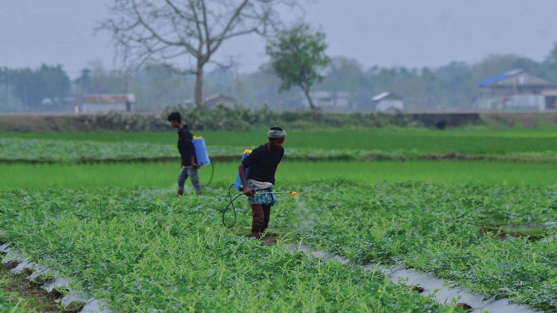 Iran conflict disrupts fertilizer supplies, triggering food crisis in Asia