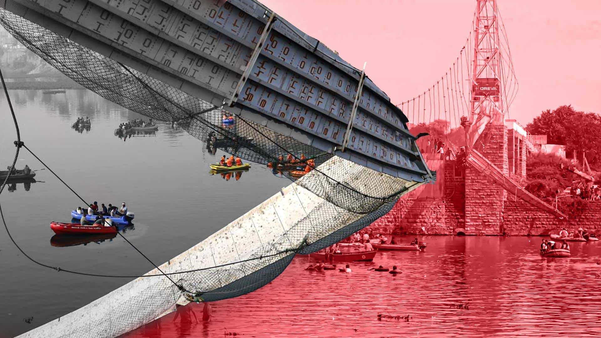Morbi bridge collapse: Half of cables had broken before tragedy