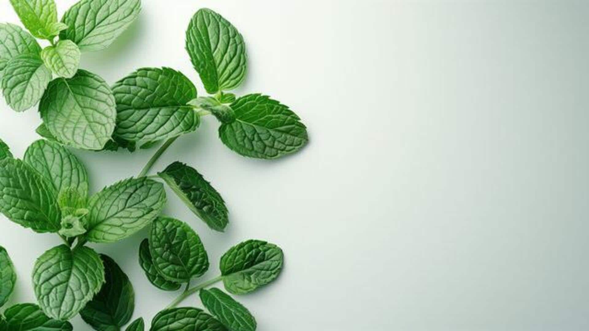 Why wellness enthusiasts are choosing mint leaves 