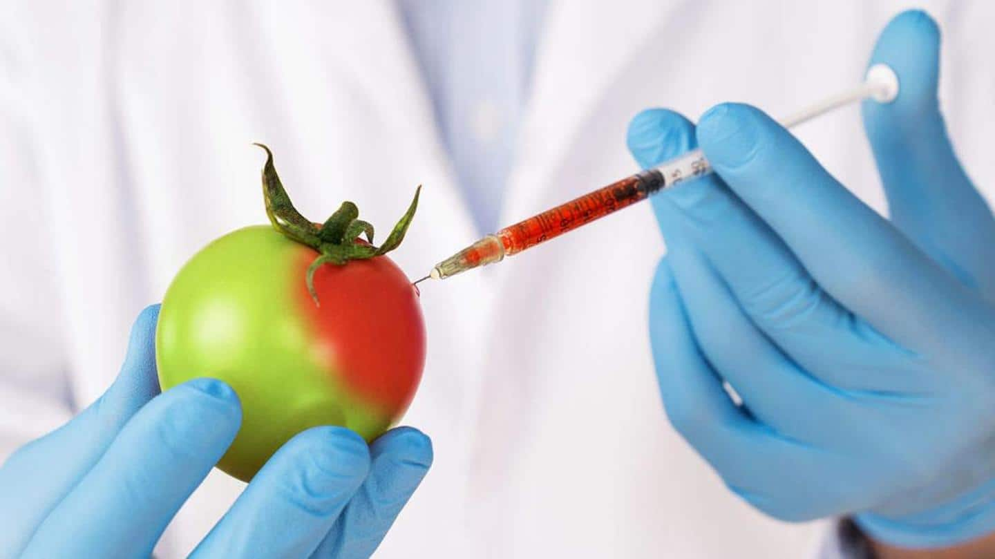 Everything you must know about Genetically Modified Organisms or GMOs