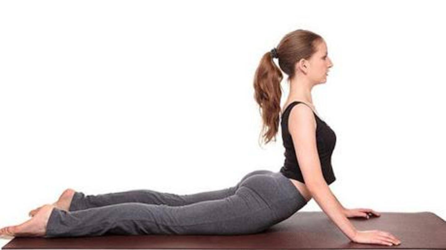 Bhujangasana or the cobra pose Bhujangasana or the cobra pose