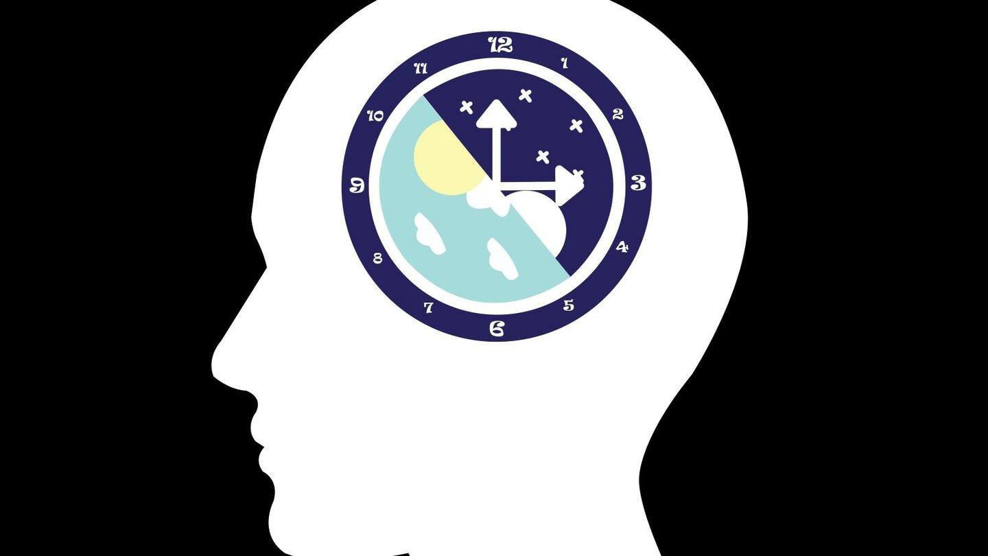 It helps in regulating our circadian rhythms It helps in regulating our circadian rhythms
