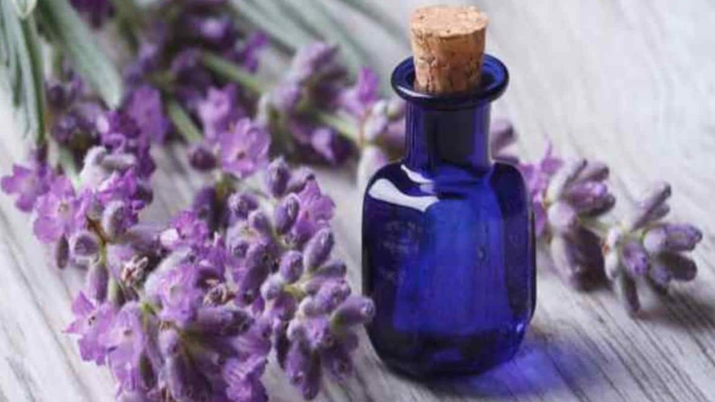 Inhaling lavender oil can reduce the severity of headache Inhaling lavender oil can reduce the severity of headache
