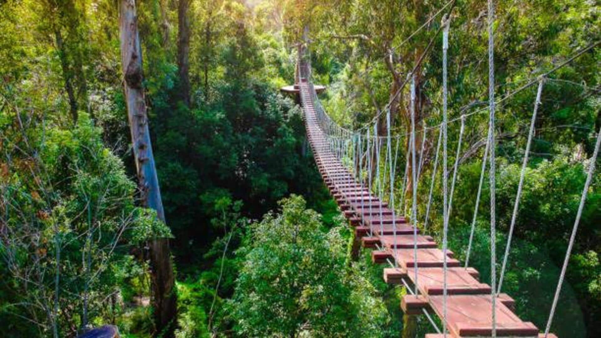 Treetop Bioblitz: Biodiversity discovery quests