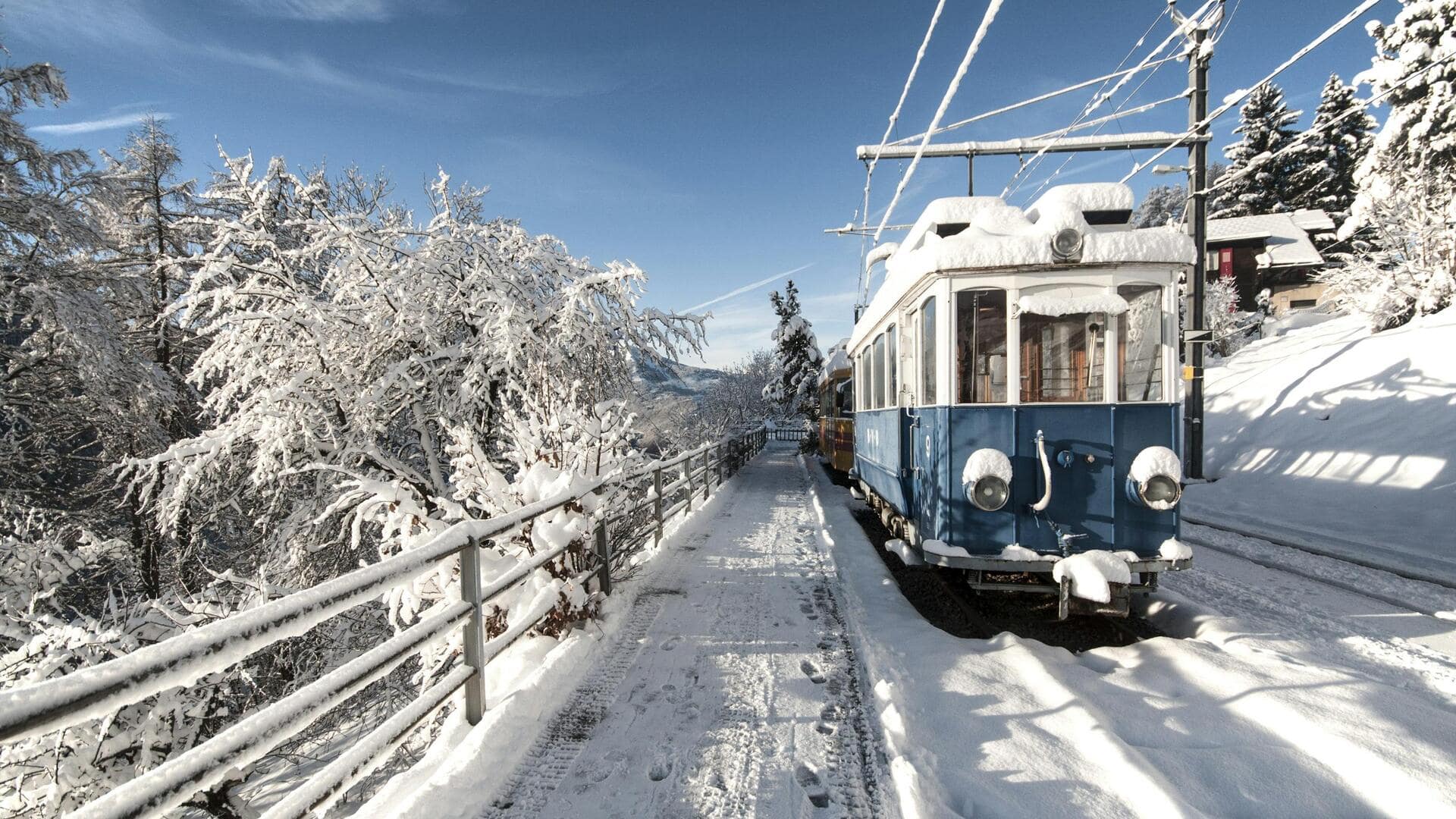 Siberian tundra by rail: Top things to see