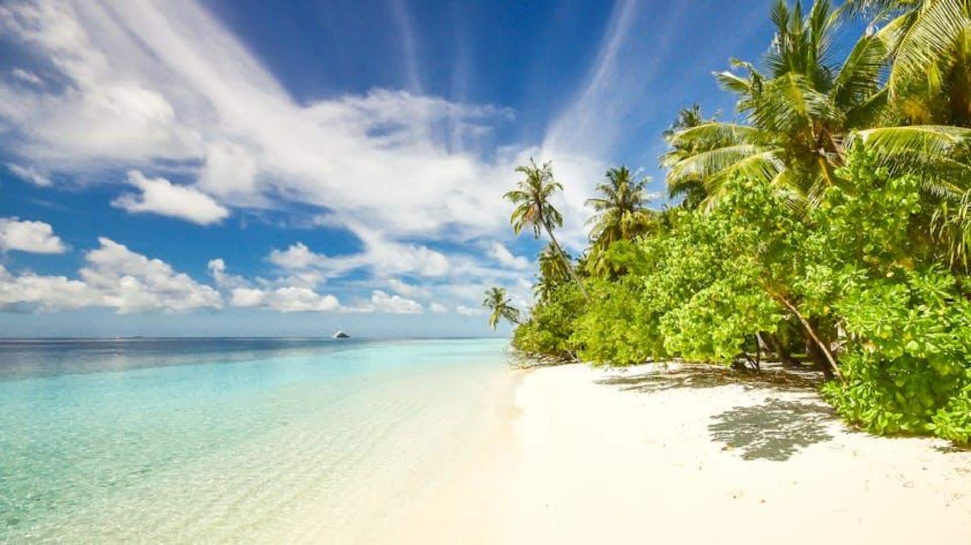 5 beaches perfect for nature lovers 5 beaches perfect for nature lovers
