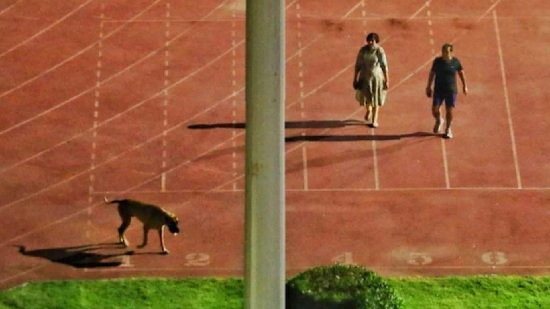 IAS who emptied stadium to walk dog appointed MCD commissioner 