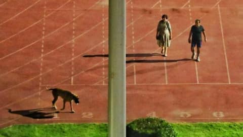 IAS who emptied stadium to walk dog appointed MCD commissioner 