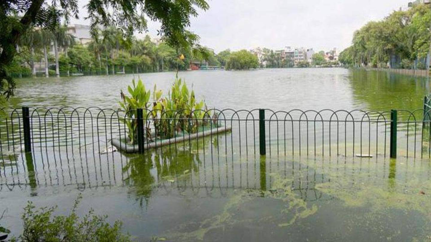 Visitors wanted boating services to resume: Official Visitors wanted boating services to resume: Official