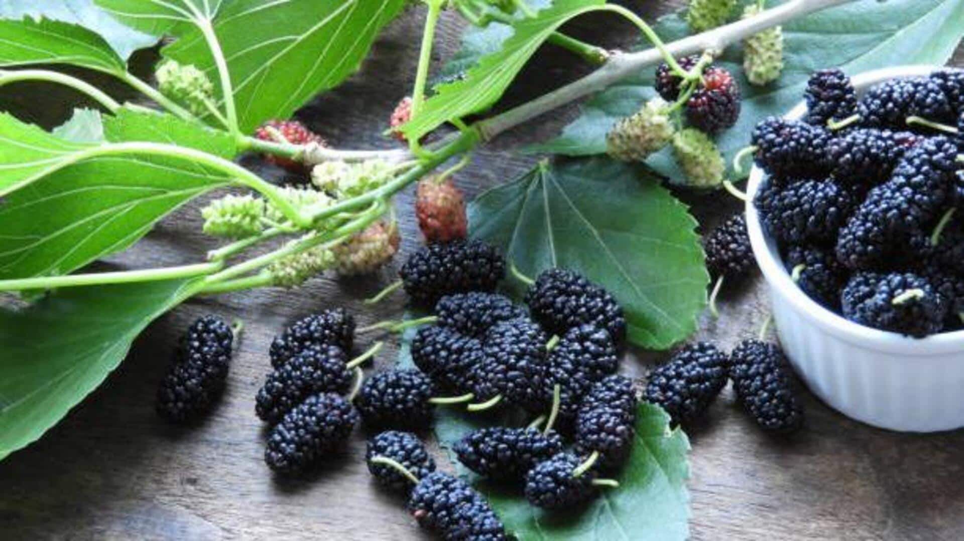 Surprising health benefits of mulberries