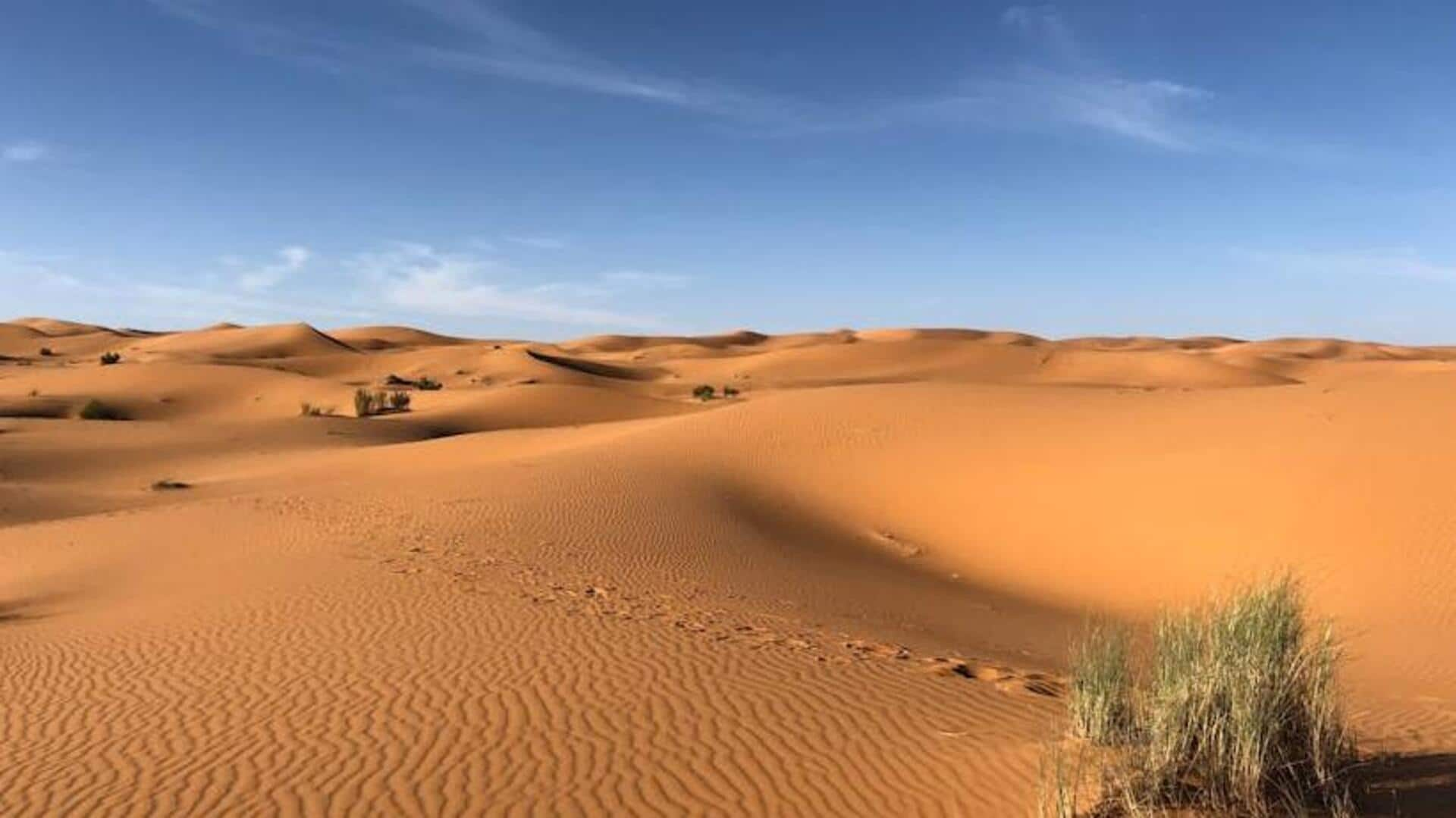 Morocco's majestic Sahara desert escapades