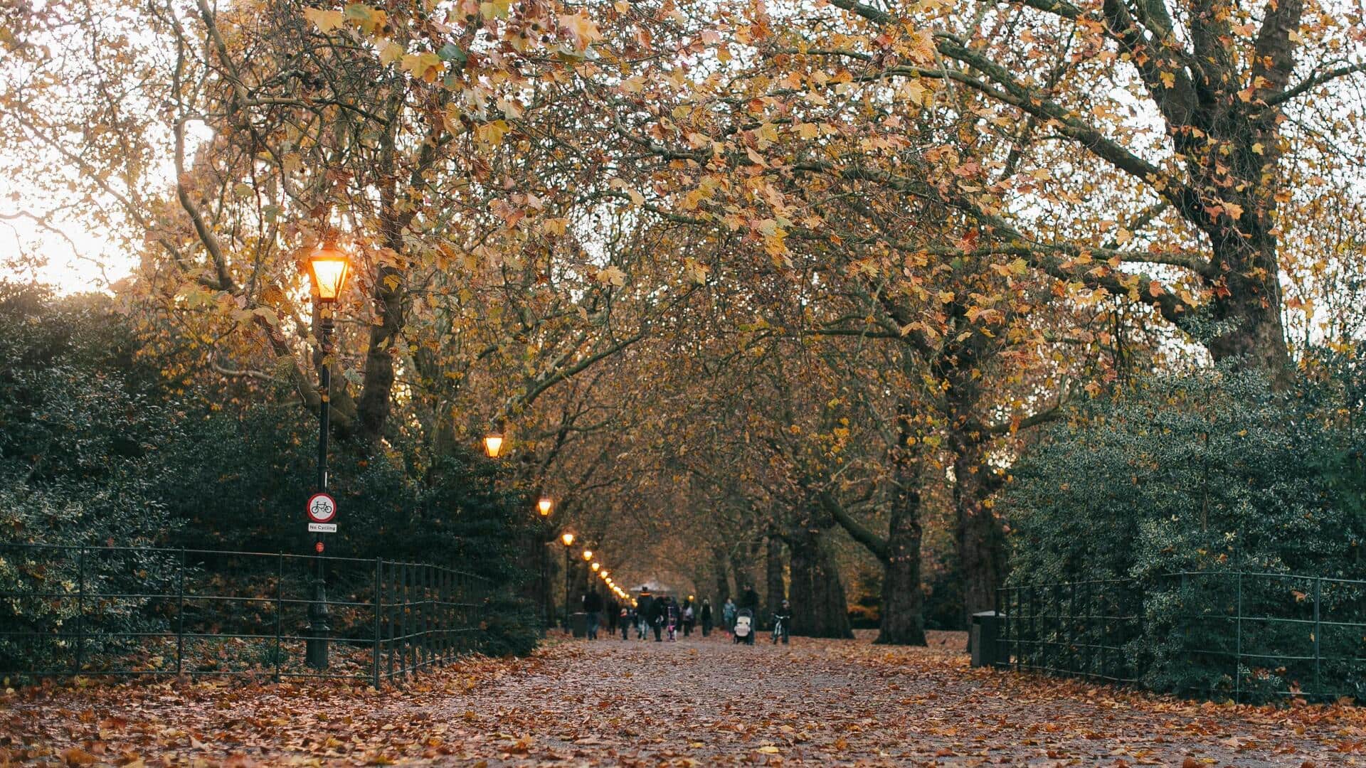 How nature walks can transform your health How nature walks can transform your health
