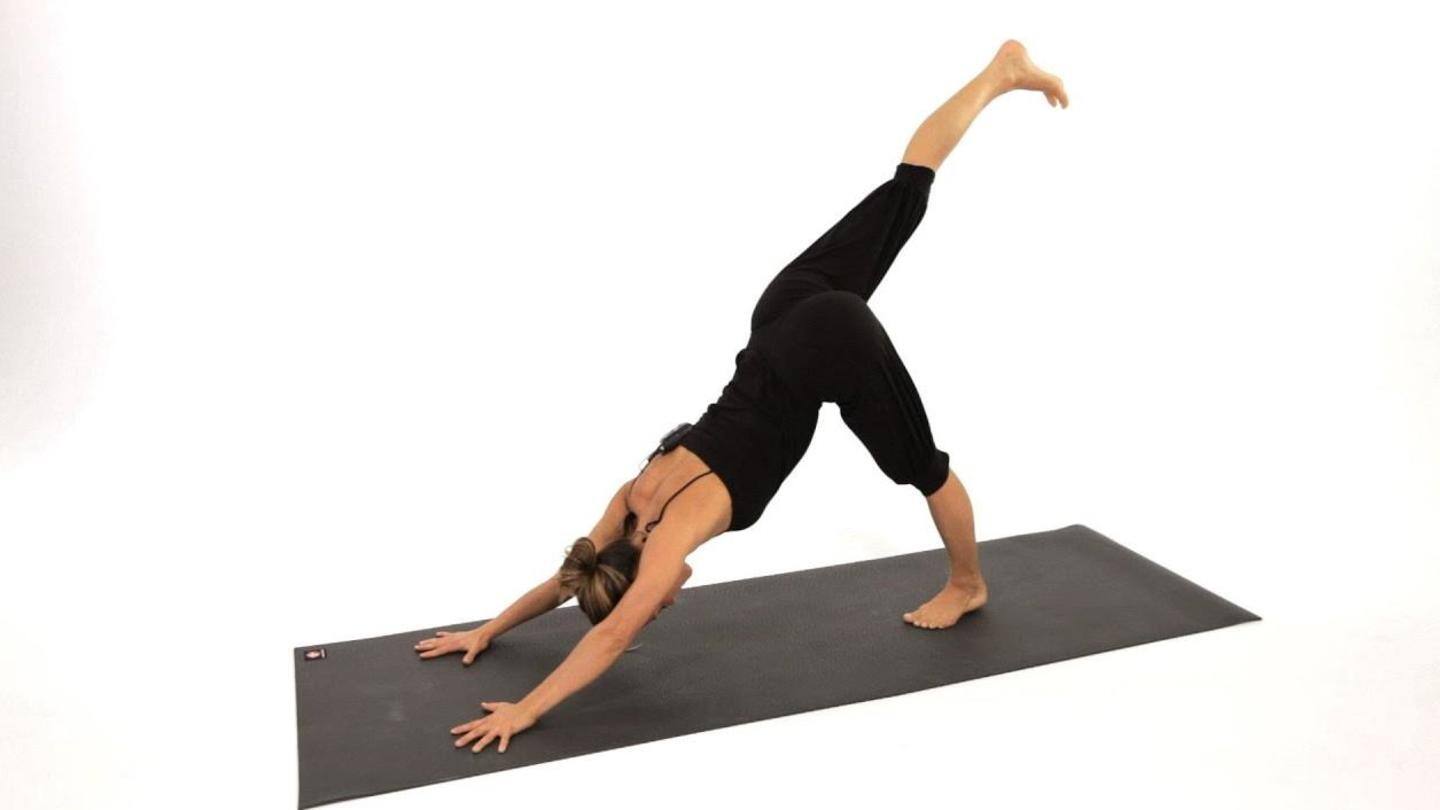 Downward dog leg kick Downward dog leg kick