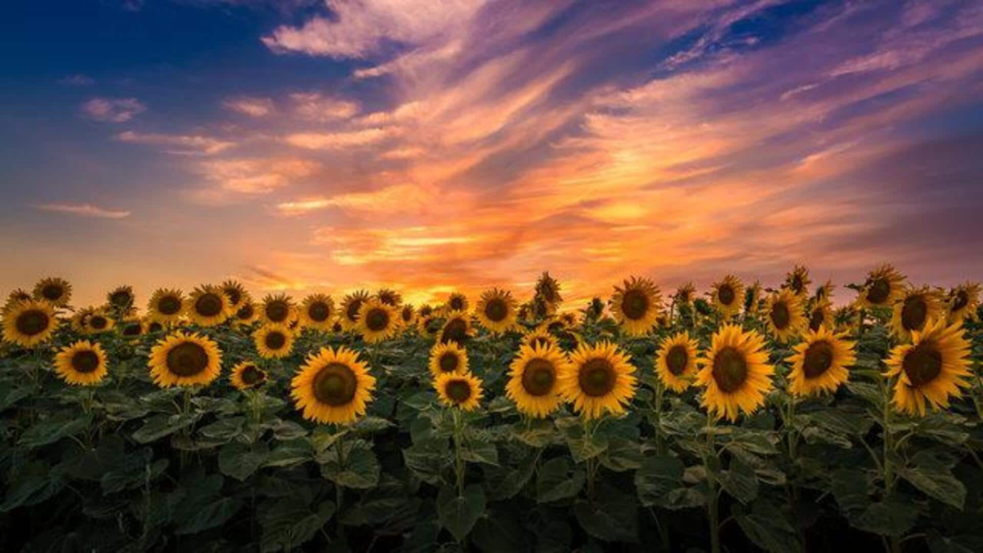 Nature lovers, don't miss this hidden gem