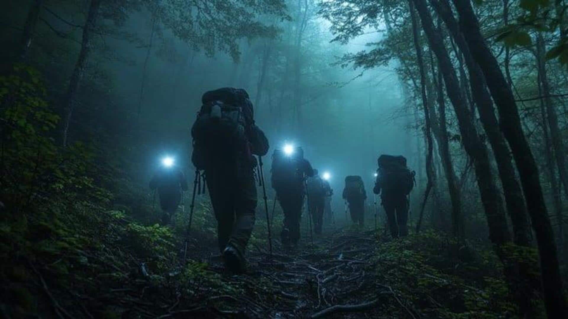 Nighttime jungle expedition: Safety, tips, and more Nighttime jungle expedition: Safety, tips, and more