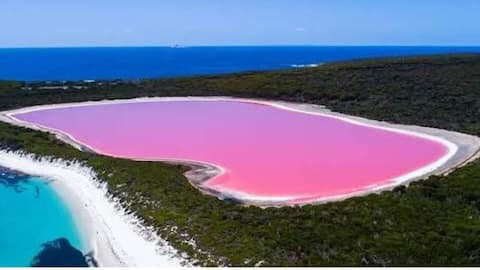 This pink lake in Senegal is nature's masterpiece