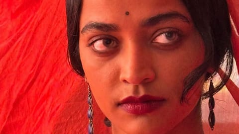 Mira Nair's 'Amri': What role does Priyanka Chopra play? 