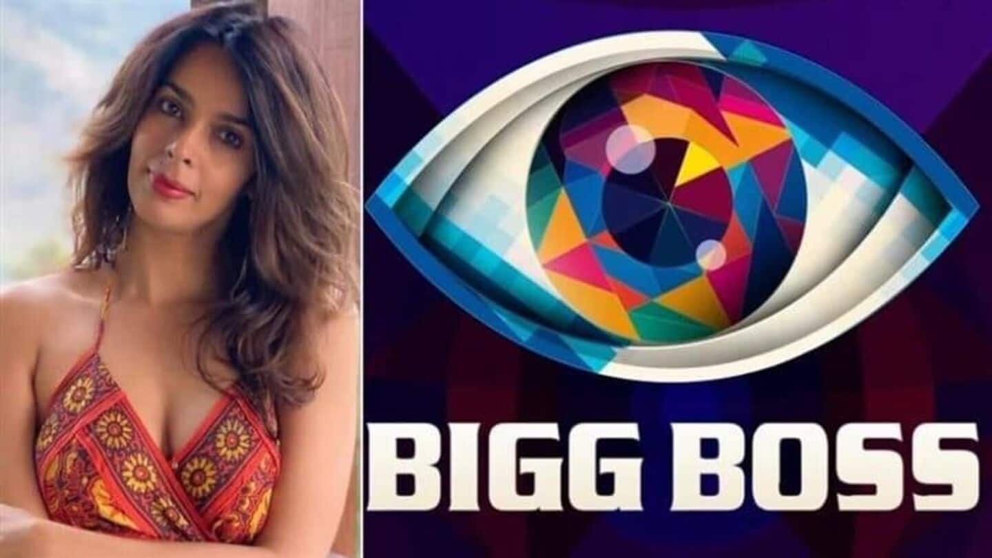 Divyanka to Mallika: Celebrities who turned down 'Bigg Boss 19' Divyanka to Mallika: Celebrities who turned down 'Bigg Boss 19'
