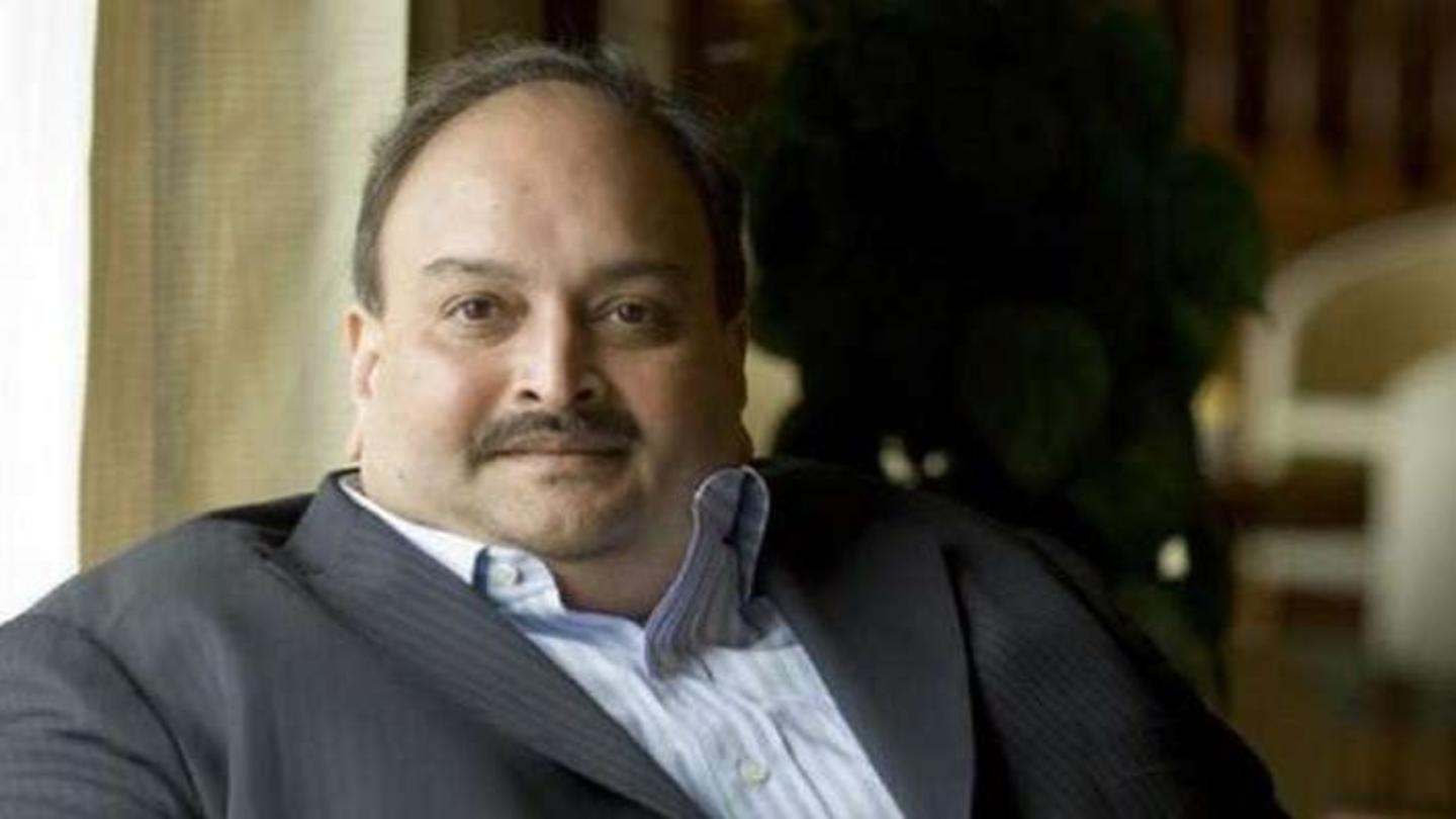 What are the allegations against Choksi? What are the allegations against Choksi?