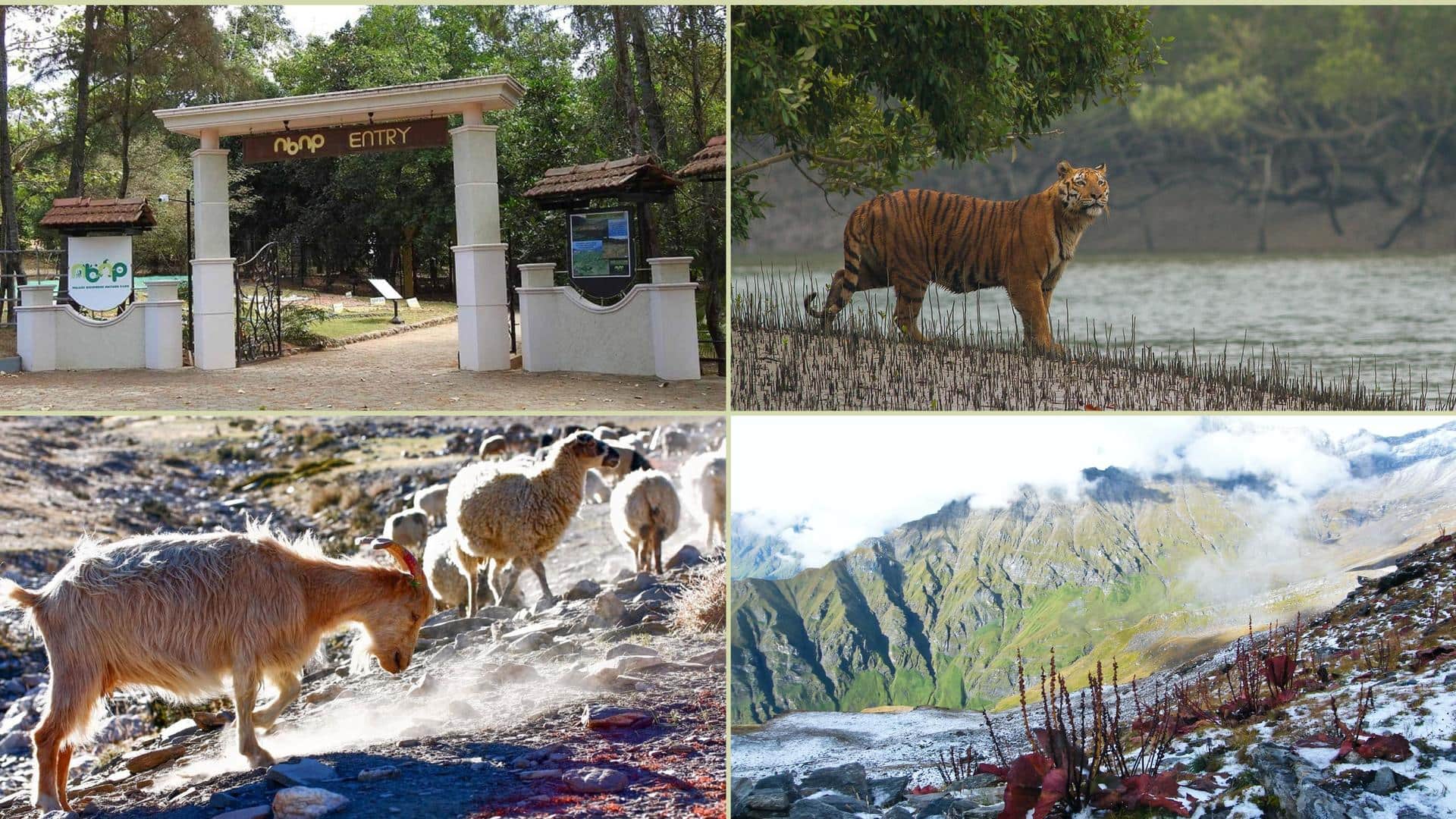 Check out these must-visit biosphere reserves in India 