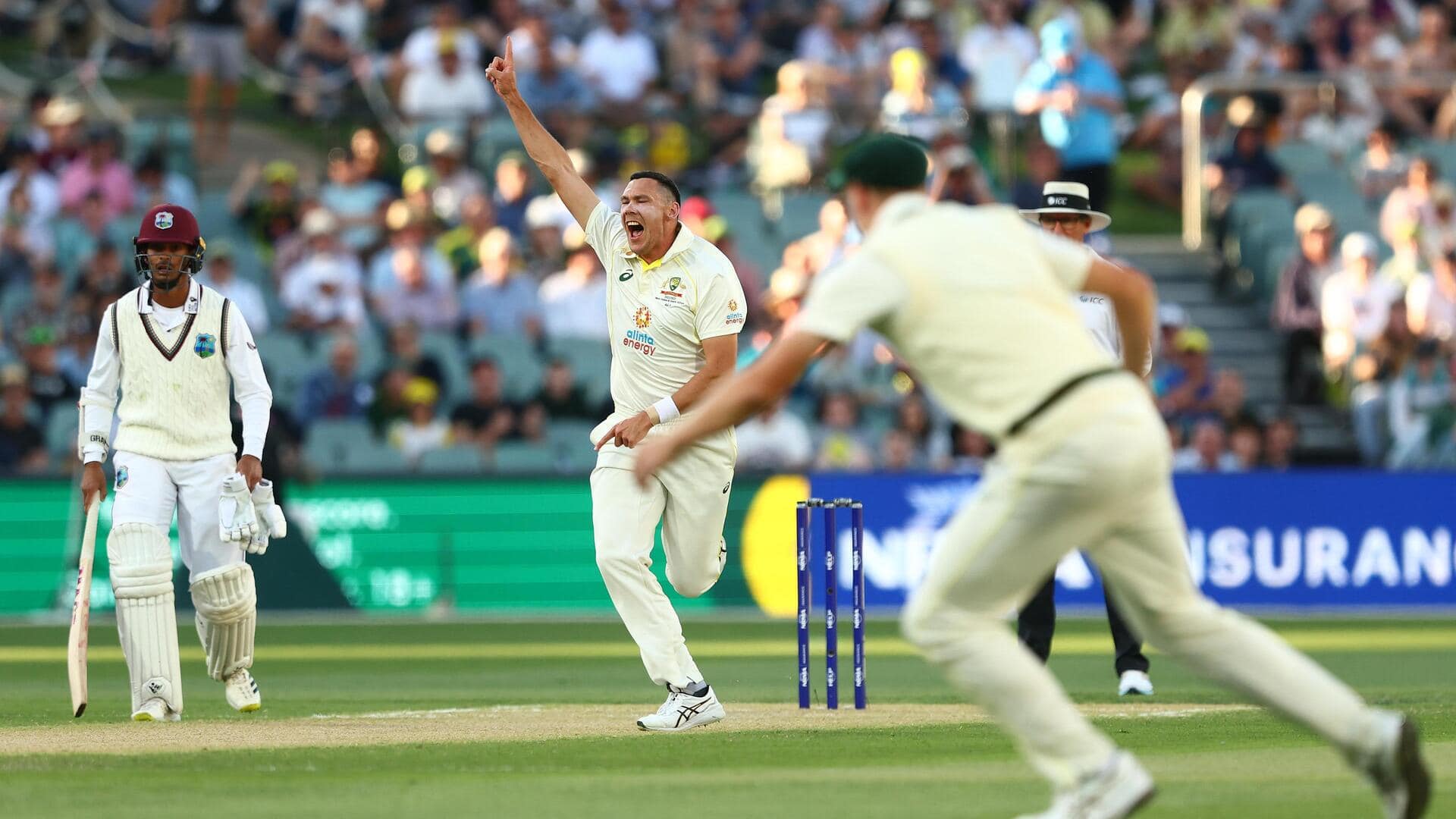 Day-Night Test: WI's collapse puts Australia in command Day-Night Test: WI's collapse puts Australia in command