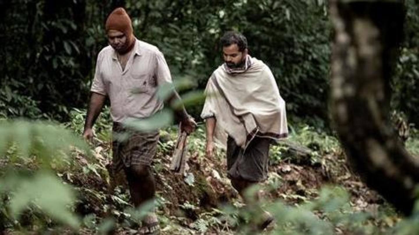Must-watch Mollywood films and where to find them Must-watch Mollywood films and where to find them