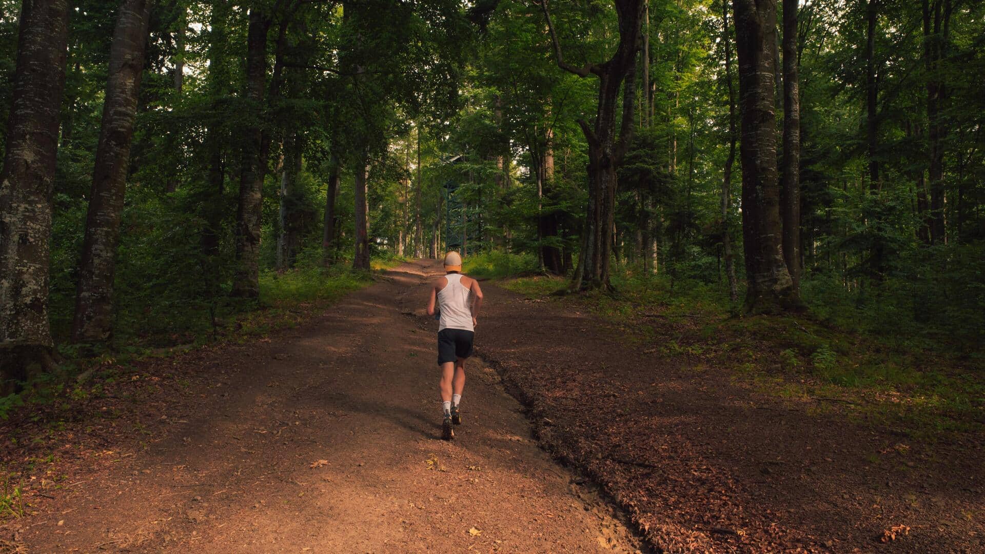 Looking for a better run? Head to the forest