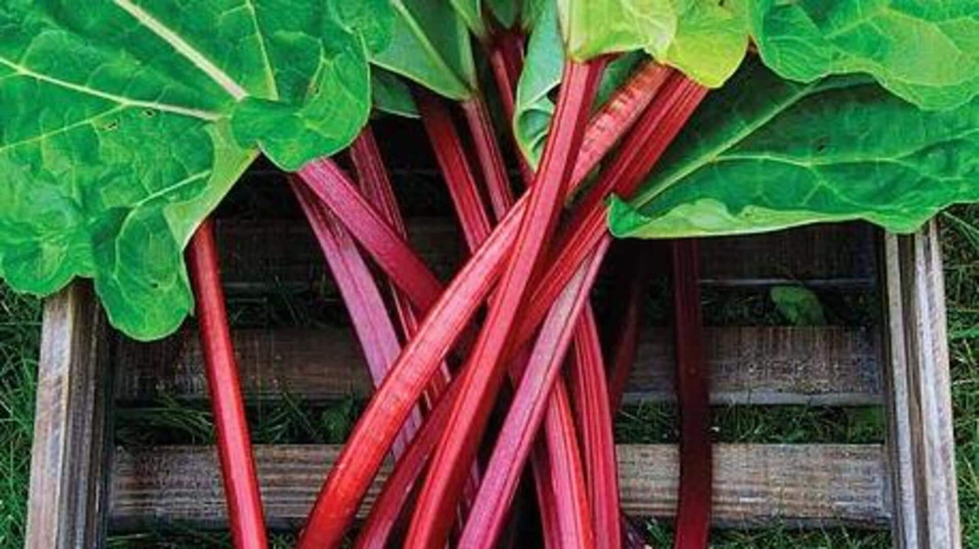 Unveiling rhubarb's bone health secrets