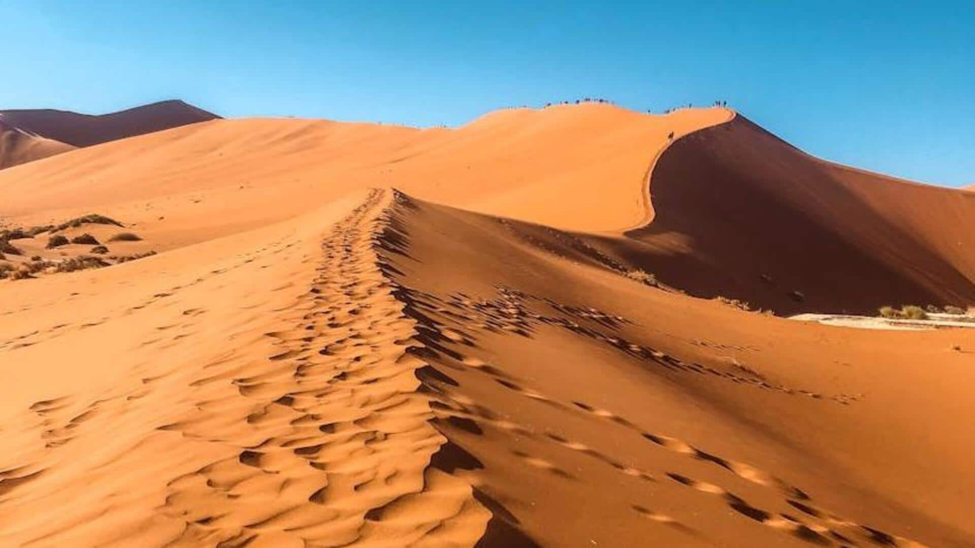 Unveiling Namib-Naukluft's desert wonders, Namibia