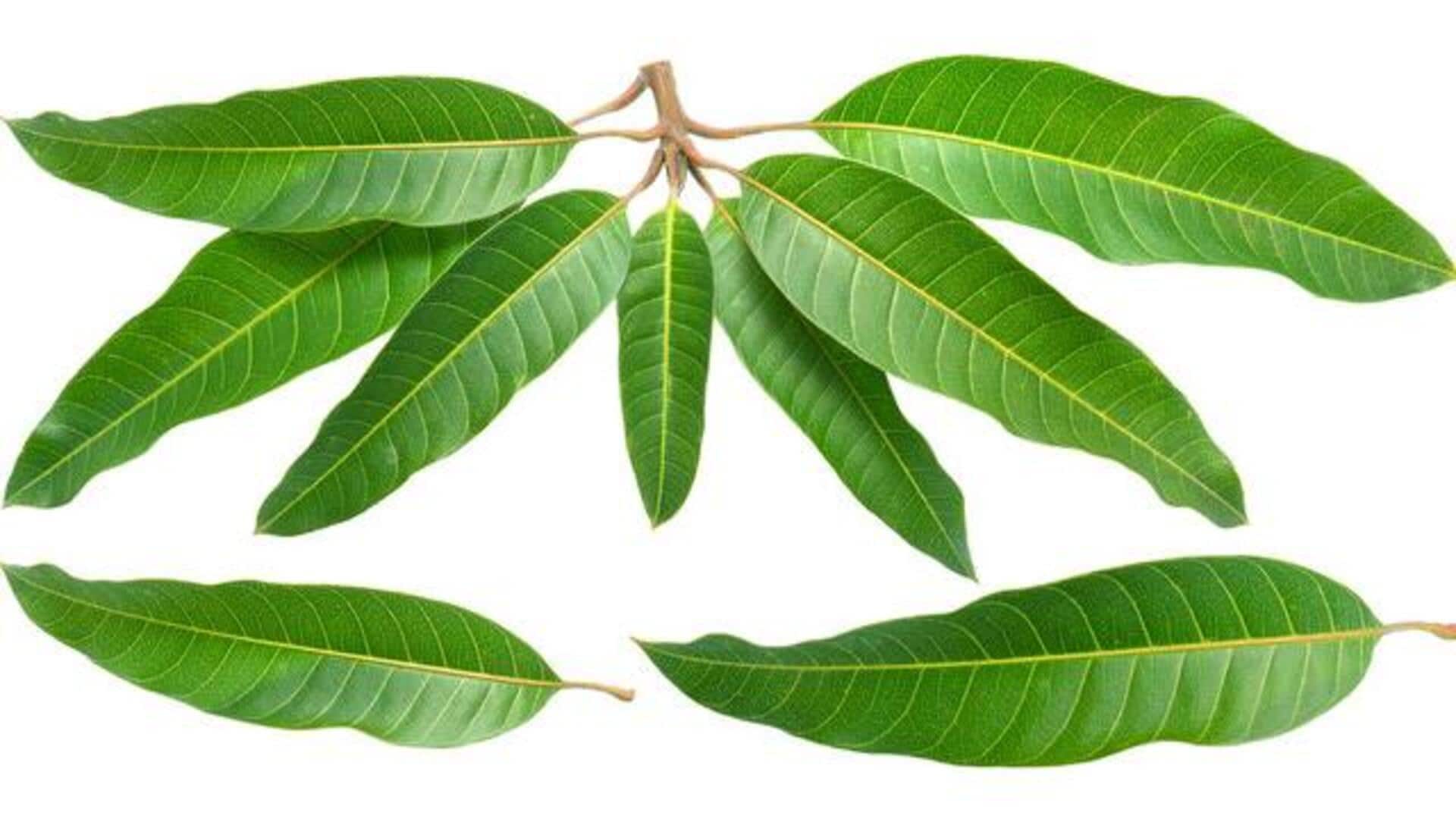 Mango leaves in cooking? Yes, and they taste delicious 