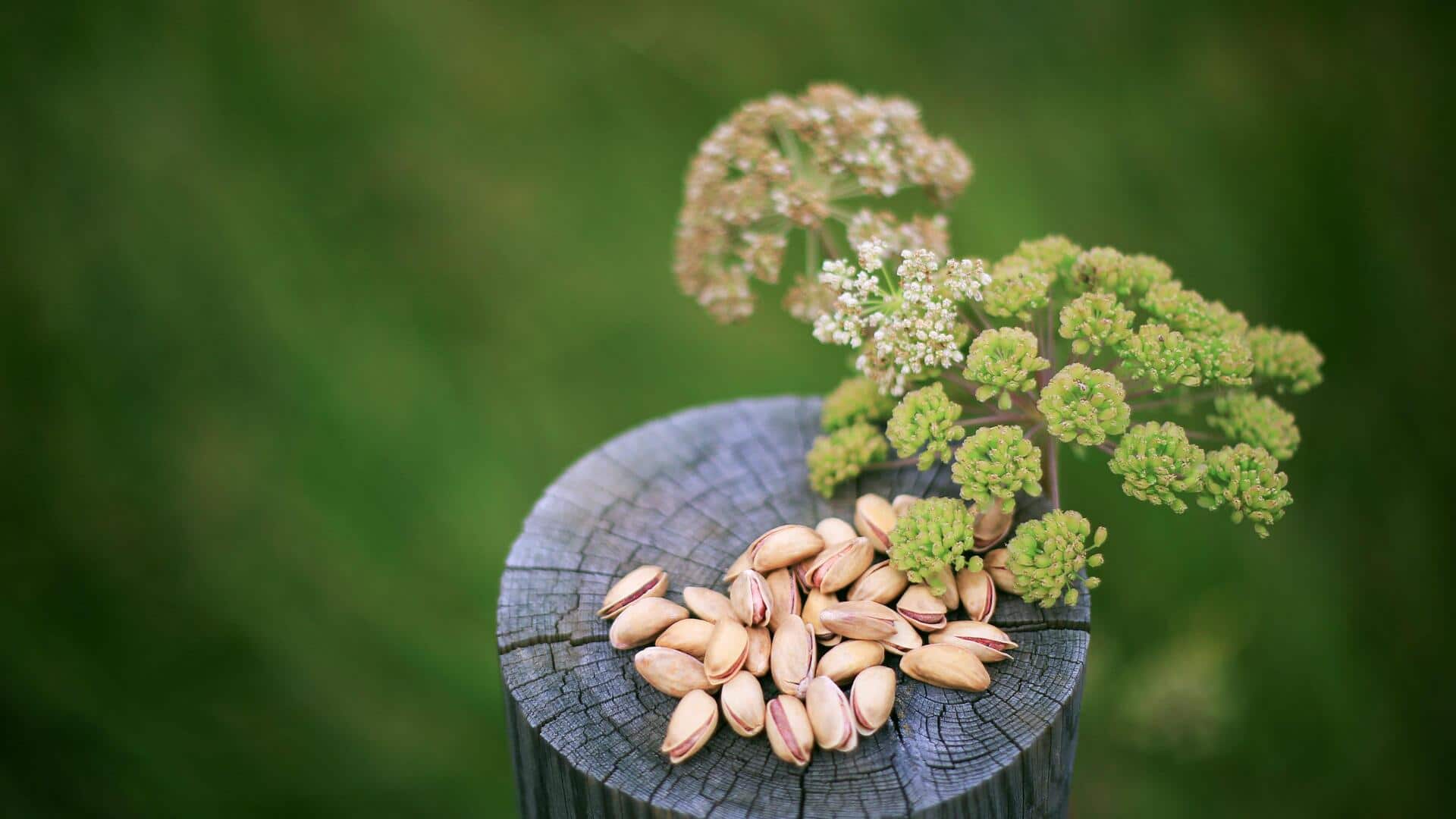 The big difference between pistachios and macadamia nuts