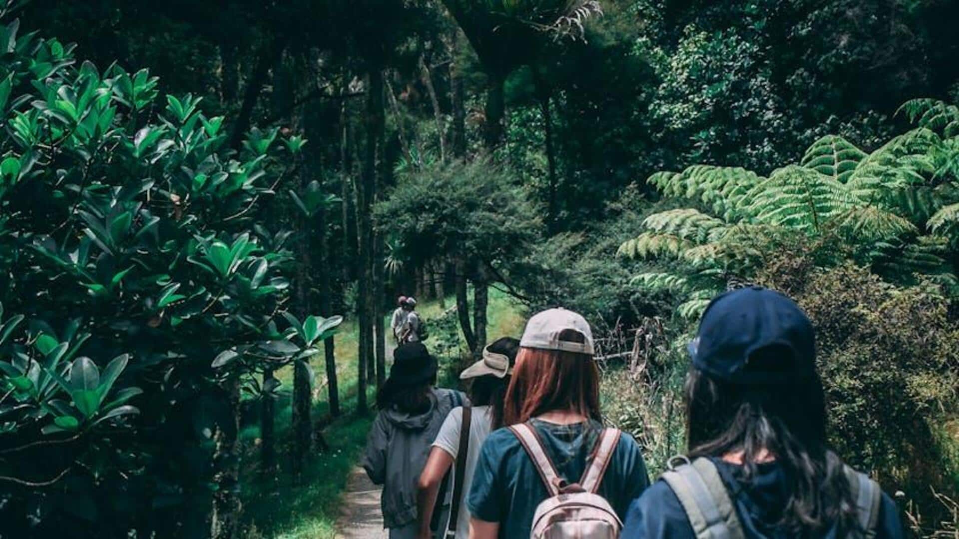 Here's why you must go for walk in the forest Here's why you must go for walk in the forest