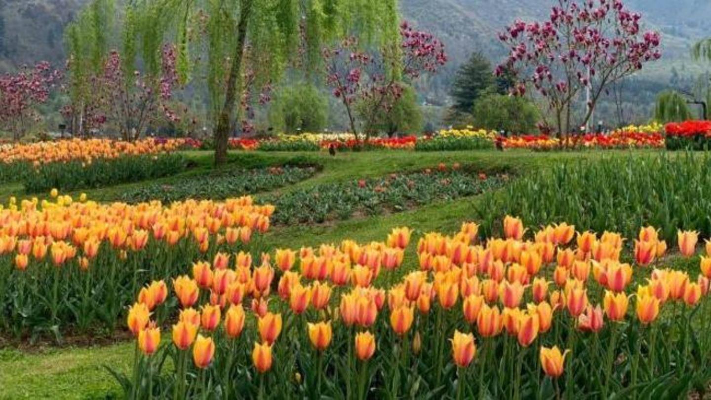 It aims to advance the tourism season in the Valley It aims to advance the tourism season in the Valley