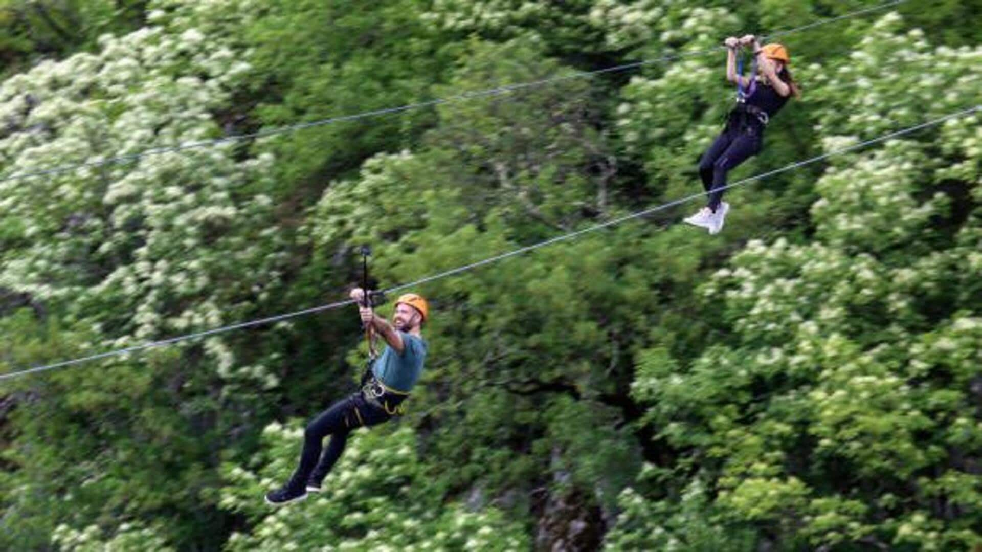 Urban canopy tours: Discovering city skylines from above