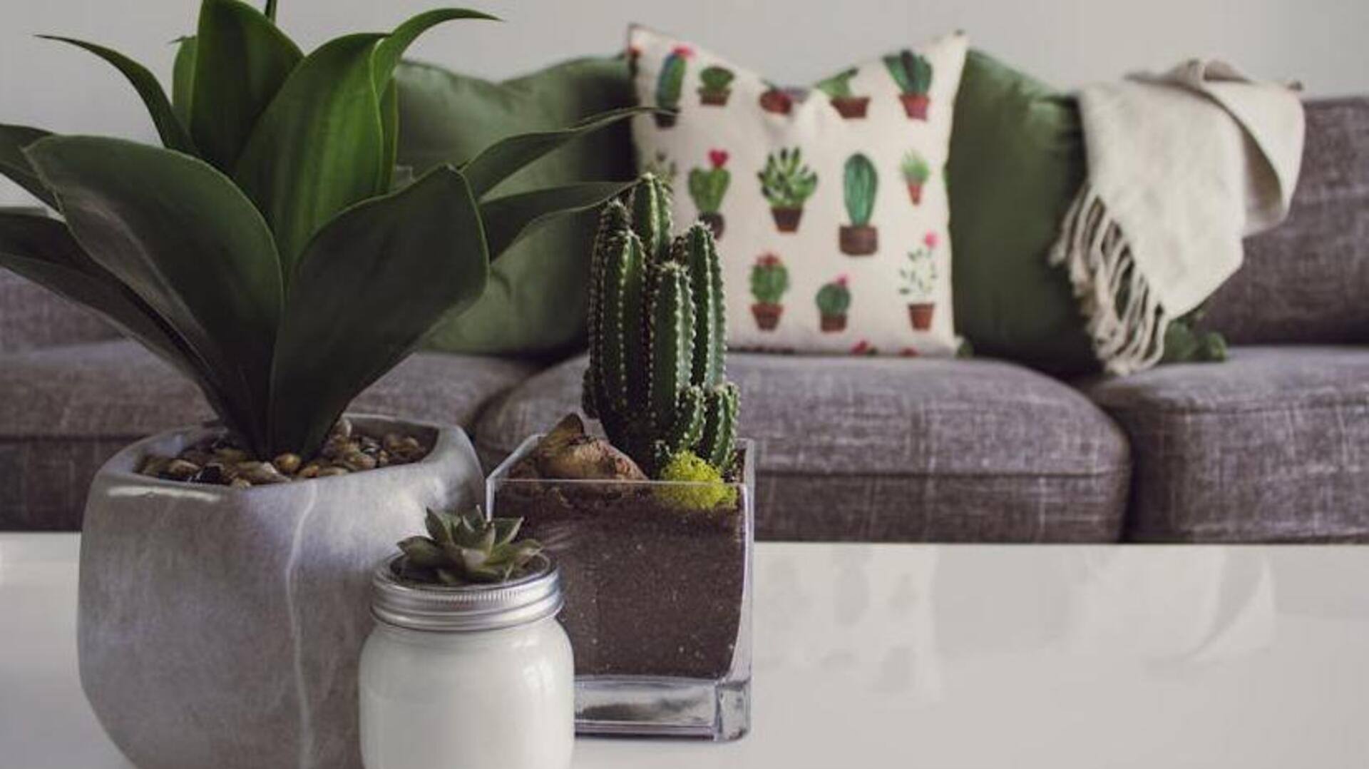Budget-friendly home decor: Hacks that actually work Budget-friendly home decor: Hacks that actually work