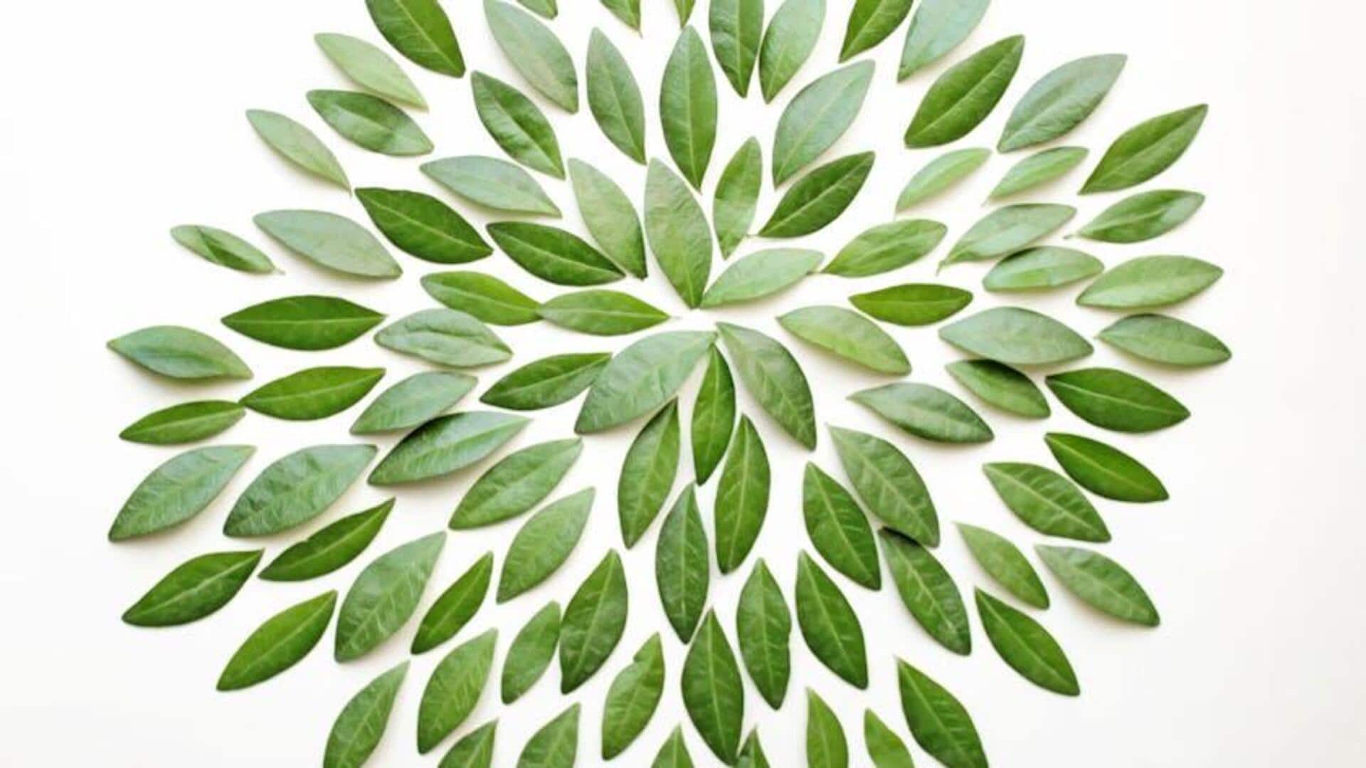 Art + nature: An amazing way to release stress Art + nature: An amazing way to release stress