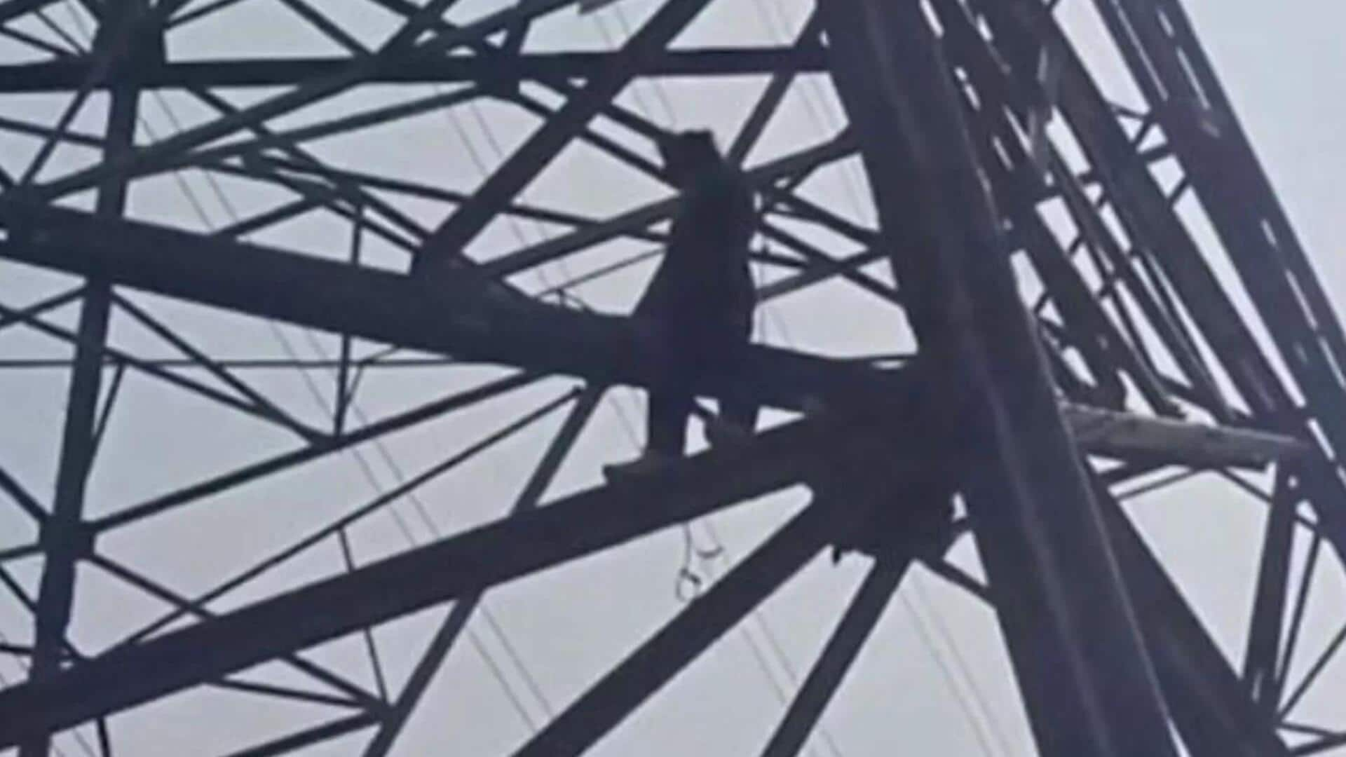 Delhi: Man climbs electric pole, seeks to speak with Modi