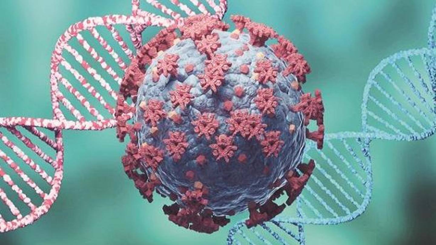 Synthetic SARS-CoV-2 could be used as COVID-19 antiviral therapy: Study