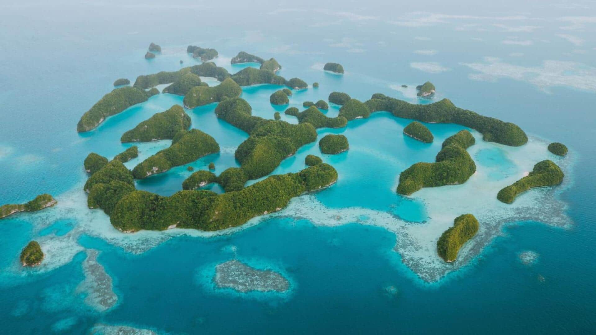 Discover Palau's aquatic splendor with these amazing recommendations