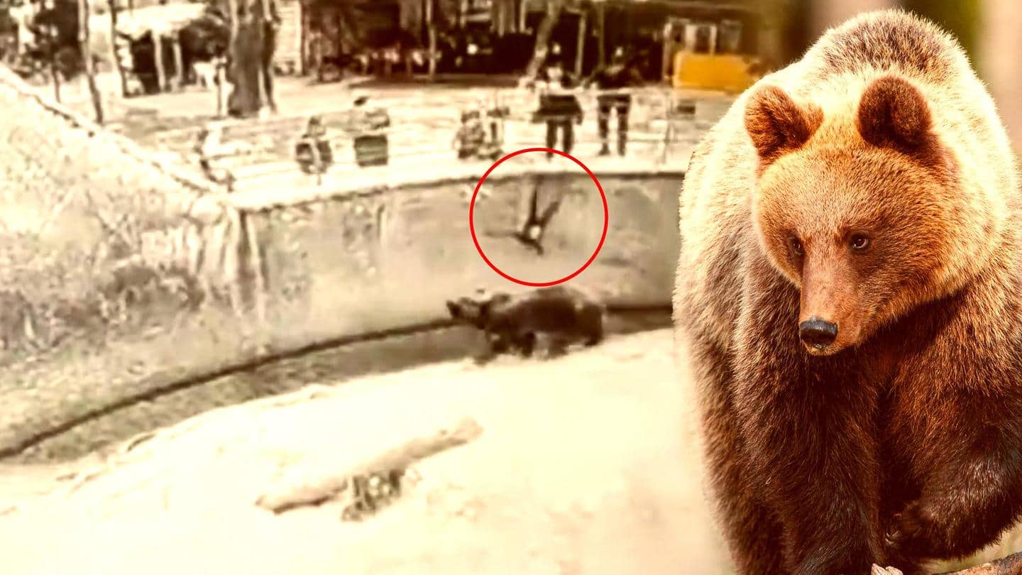 Mother drops 3-year-old into bear enclosure; video goes viral