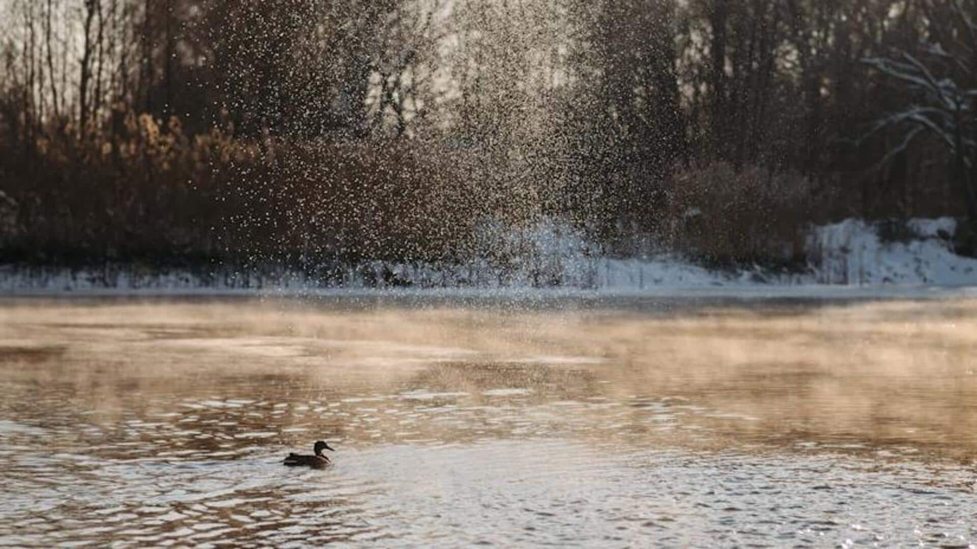 Embrace the chill: Ice swimming in Oulu, Finland