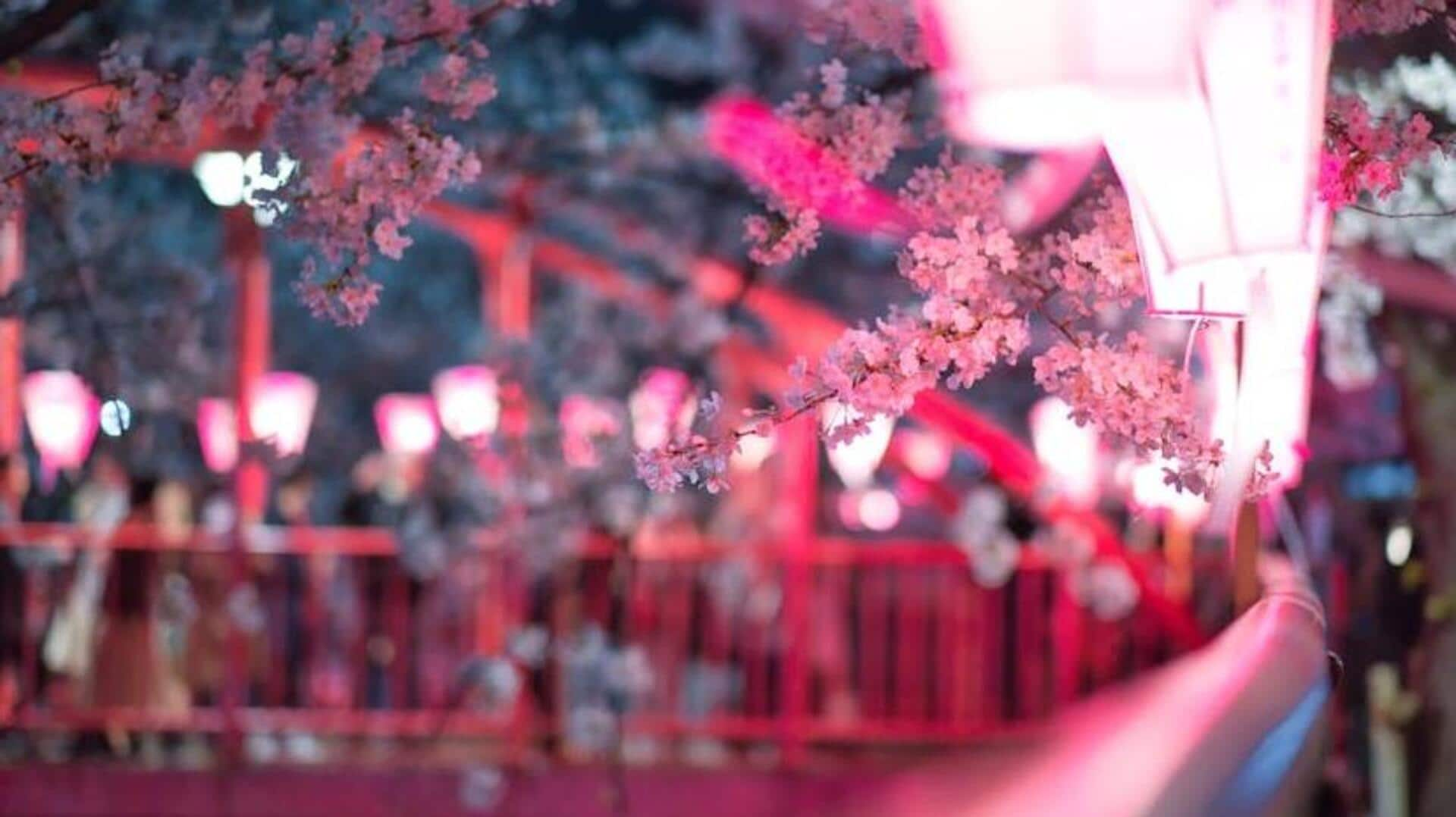 The blossoming beauty: Celebrating Plum Festival in Japan