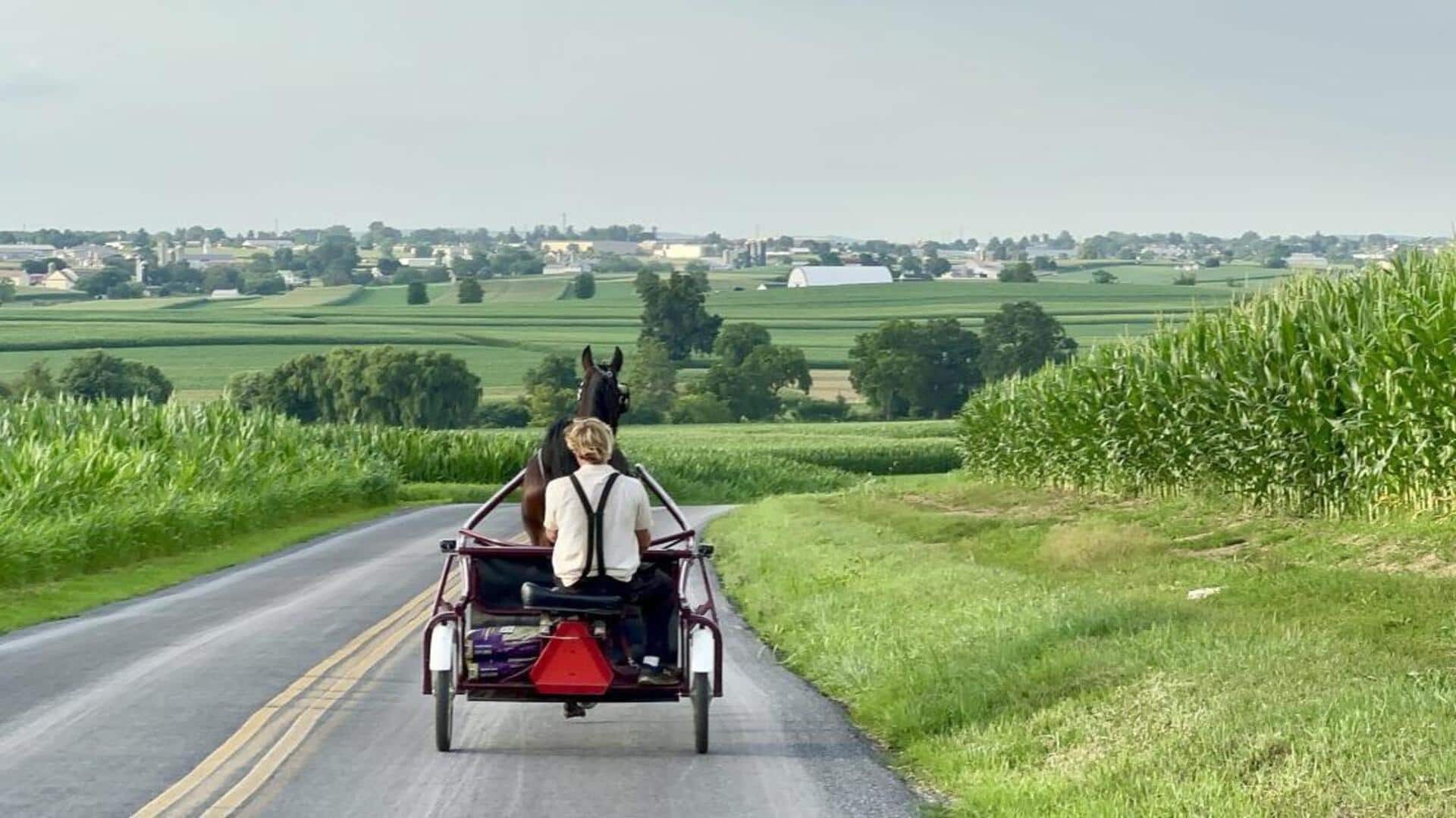 Amish culture: 5 traditions that are truly unique