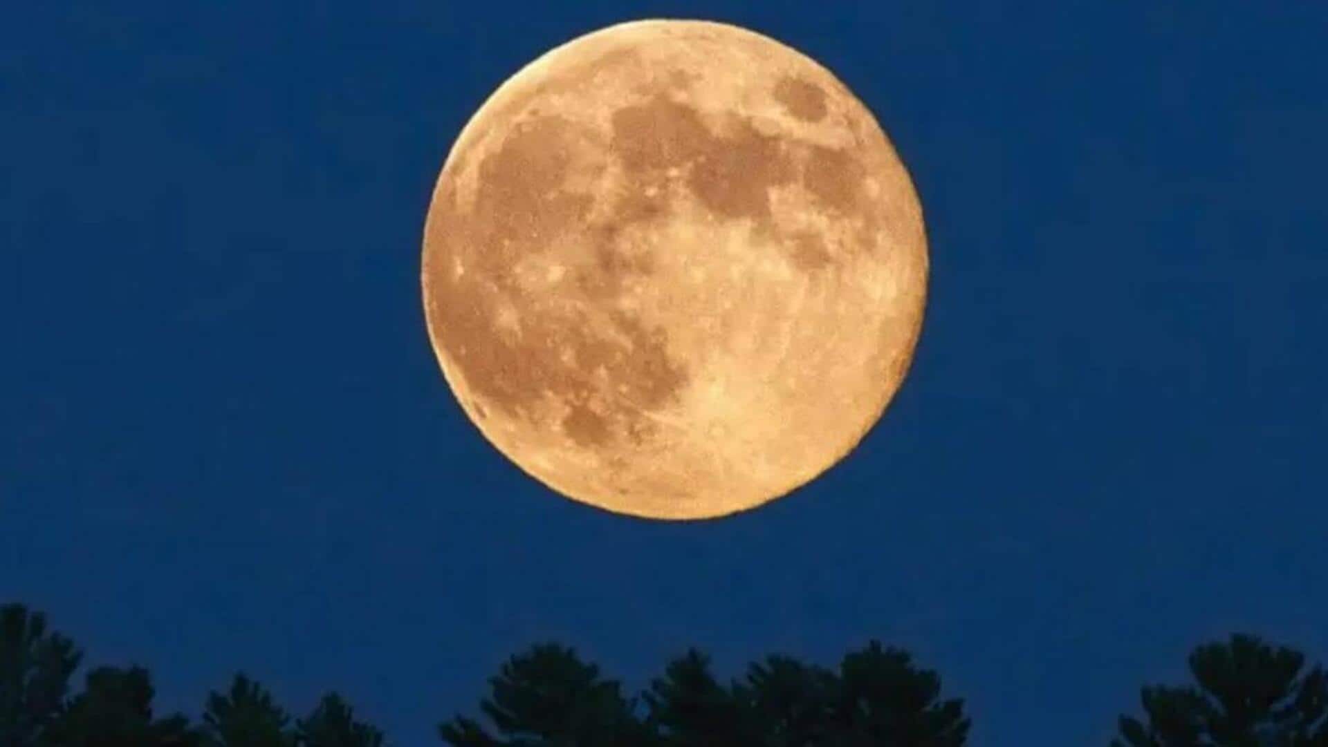 Meteors to 'Beaver Moon': All notable astronomical events in November Meteors to 'Beaver Moon': All notable astronomical events in November