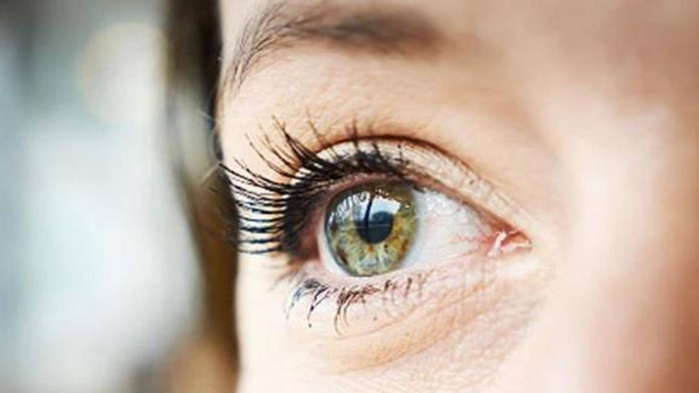 Contains high amount of vitamin A, good for eyes Contains high amount of vitamin A, good for eyes